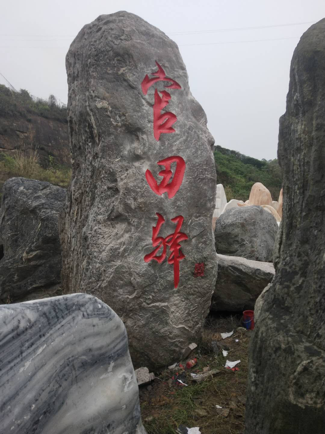 成功案例