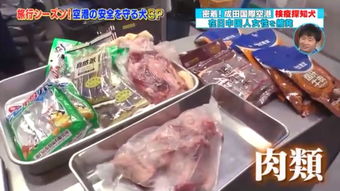 日本海關嚴查入境違禁品，肉制品及假名牌成重點目標